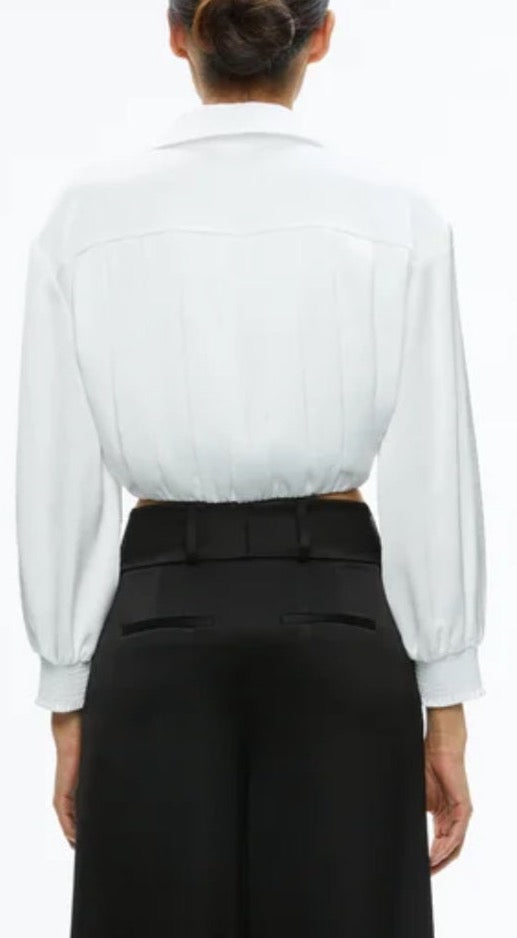 Pierre Pleated Back Button Down