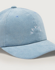 Franklin Cap
