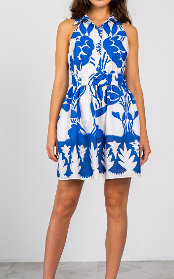Rayna Dress