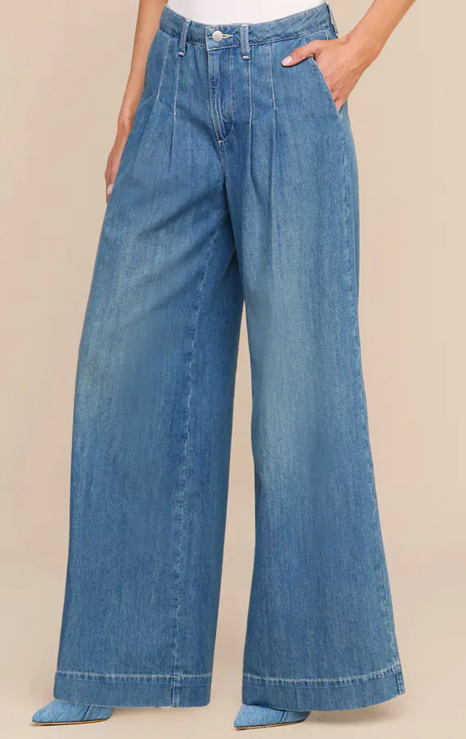 Jayani High Rise Pleated Wide Leg