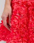 Tibaldi Dress