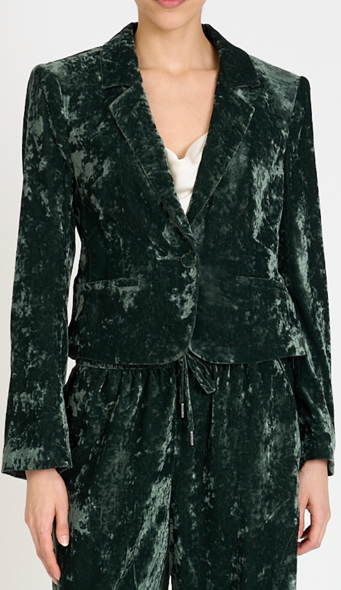 Velvet Le Petit Karlie Blazer